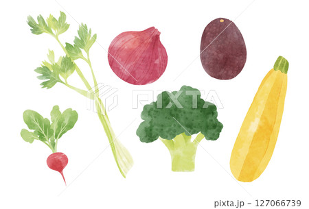 カフェ風のおしゃれな野菜セット(ラディッシュ・セロリ・紫玉ねぎ・ブロッコリー・アボカド・ズッキーニ) カフェ風のおしゃれな野菜セット(ラディッシュ・セロリ・紫玉ねぎ・ブロッコリー・アボカド・ズッキーニ) 127066739