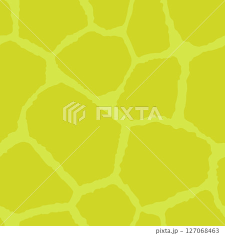 Abstract modern giraffe seamless pattern. Animals trendy background. Colorful decorative vector stock illustration for print, card, postcard, fabric, textile. Modern ornament of stylized skin 127068463