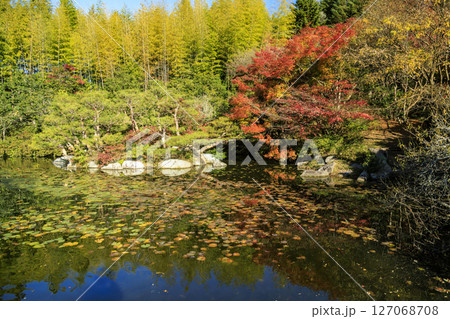 三原市三景園の紅葉を映す池 127068708