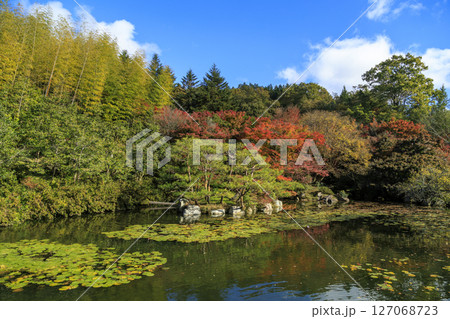 三原市三景園の青空と紅葉を映す池 三原市三景園の青空と紅葉を映す池 127068723