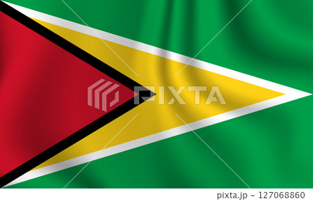 Flag of Guyana. National symbol in official colors. Template icon. Abstract vector background 127068860
