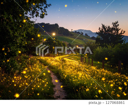 ホタルのいる田園風景 127068861