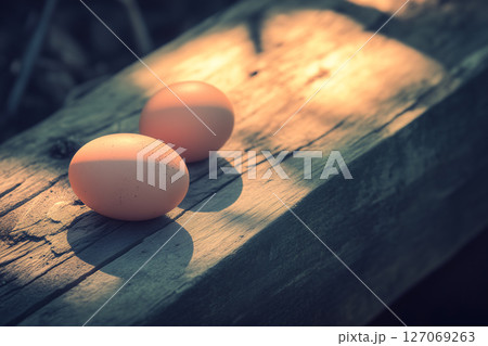 Modern Processing Plant Conveyor System with Eggs on Wooden Surface in Soft Light 127069263
