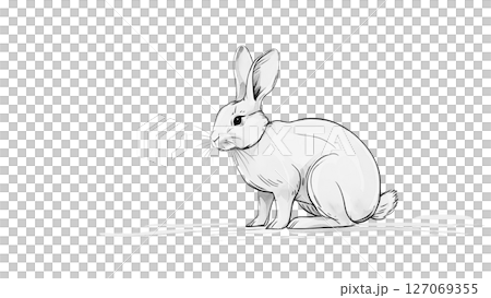 新年賀卡設計兔 127069355