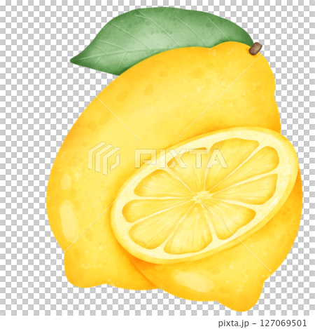set of lemon slices and slices with leaves isolated on white background set of lemon slices and slices with leaves isolated on white background 127069501