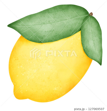 set of lemon slices and slices with leaves isolated on white background set of lemon slices and slices with leaves isolated on white background 127069507