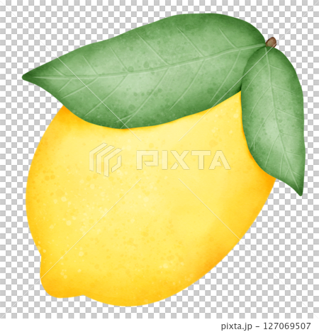 set of lemon slices and slices with leaves isolated on white background set of lemon slices and slices with leaves isolated on white background 127069507