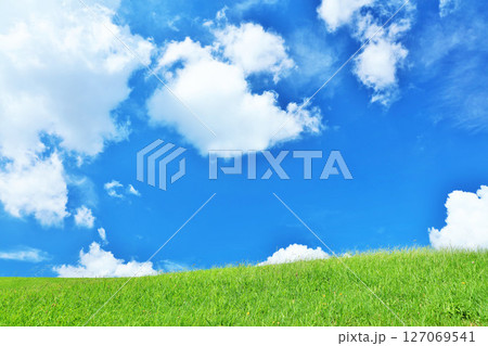爽やかな夏の青空と新緑の草原風景 127069541