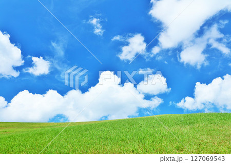 爽やかな夏の青空と新緑の草原風景 127069543