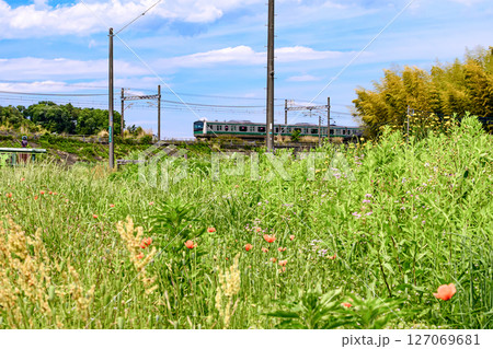 新緑を走る電車の風景 127069681