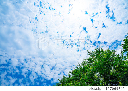 青空と雲と木立 127069742