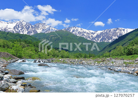 山麓から望む初夏の白馬三山 127070257