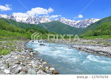 山麓から望む初夏の白馬三山 127070258