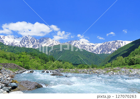 山麓から望む初夏の白馬三山 127070263