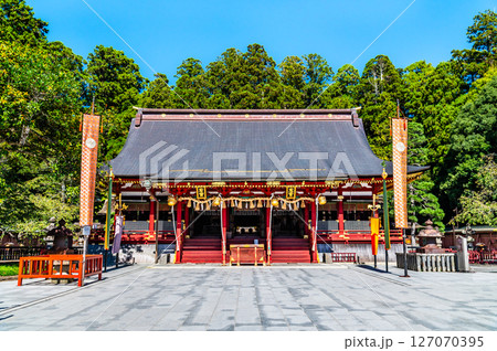 宮城 鹽竈神社　左右宮本殿 127070395