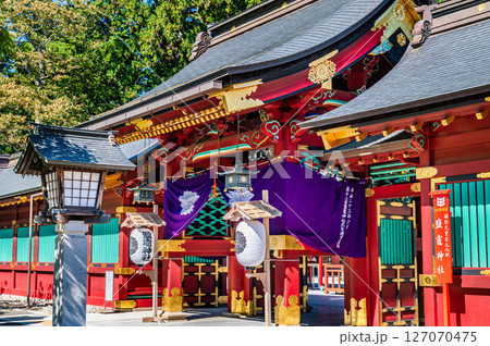 宮城 鹽竈神社　唐門 127070475
