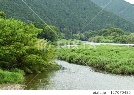 ニホンカワウソが最後に発見された川【新荘川】 ニホンカワウソが最後に発見された川【新荘川】 127070480