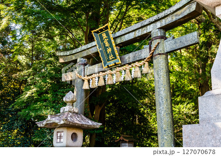 宮城 鹽竈神社　東参道の鳥居 127070678