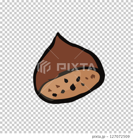 Simple chestnut hand drawn illustration Simple chestnut hand drawn illustration 127072509