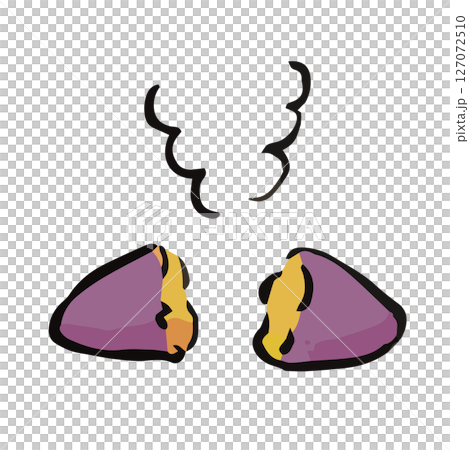 Freshly baked sweet potato illustration 127072510