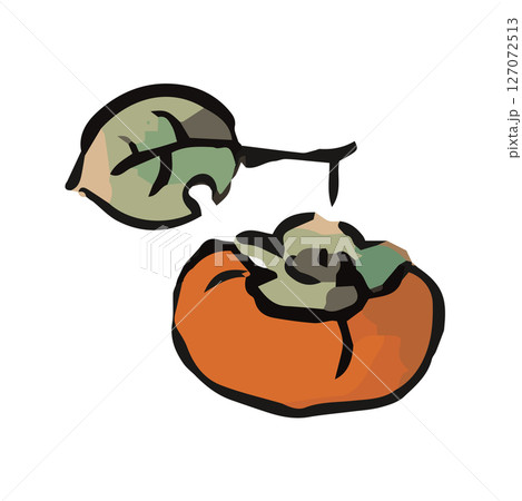 シンプルな柿の手描きイラスト 127072513