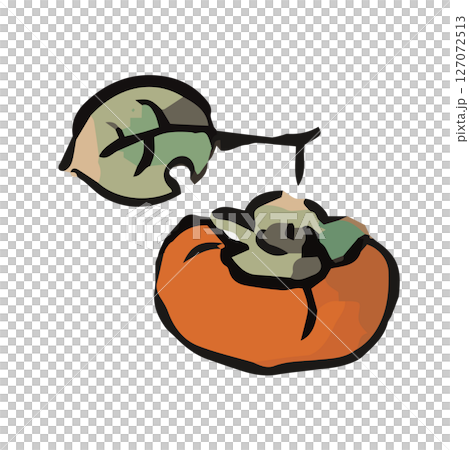 シンプルな柿の手描きイラスト 127072513