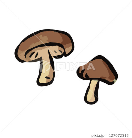 シンプルな椎茸のイラスト 127072515