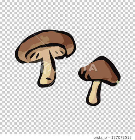 簡單的香菇的插圖 127072515