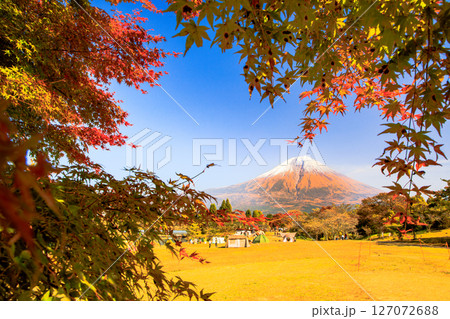秋のキャンプ場のイメージ　富士山と田貫湖キャンプ場の紅葉 127072688