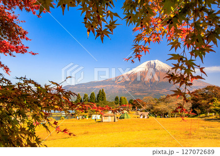 秋のキャンプ場のイメージ　富士山と田貫湖キャンプ場の紅葉 127072689
