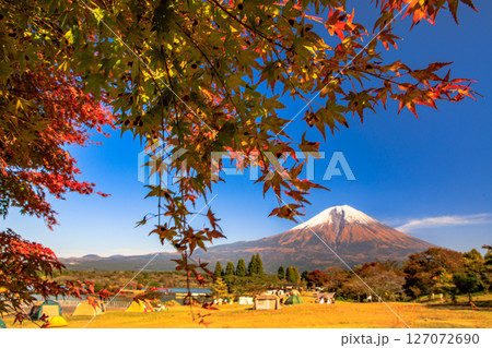 秋のキャンプ場のイメージ 富士山と田貫湖キャンプ場の紅葉 秋のキャンプ場のイメージ 富士山と田貫湖キャンプ場の紅葉 127072690