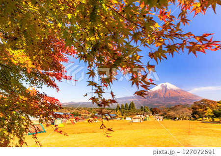 秋のキャンプ場のイメージ 富士山と田貫湖キャンプ場の紅葉 秋のキャンプ場のイメージ 富士山と田貫湖キャンプ場の紅葉 127072691