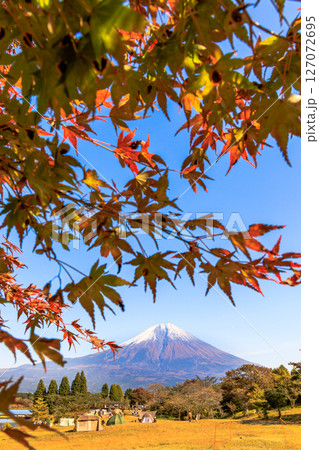 秋のキャンプ場のイメージ 富士山と田貫湖キャンプ場の紅葉 秋のキャンプ場のイメージ 富士山と田貫湖キャンプ場の紅葉 127072695