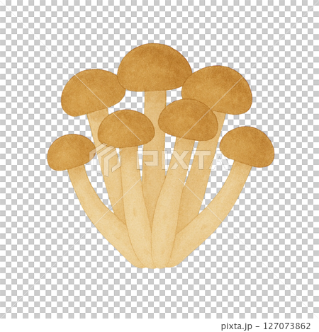 【秋】しめじのイラスト 127073862