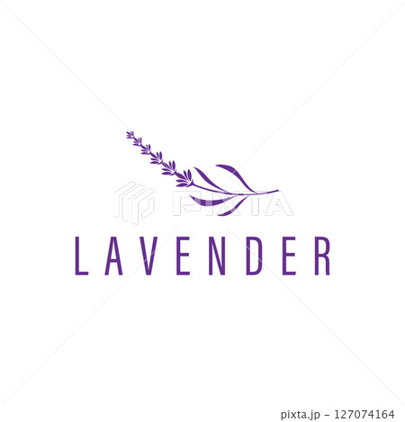 lavender flower design, lavender logo concept, aromatherapy plant for health and perfume, with modern simplicity as a symbol of a business product brand, also a poster or brand illustration template lavender flower design, lavender logo concept, aromatherapy plant for health and perfume, with modern simplicity as a symbol of a business product brand, also a poster or brand illustration template 127074164