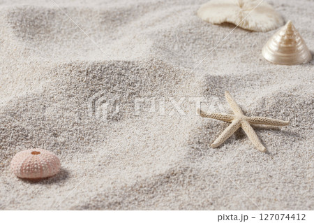 Seashells and Starfish on Soft Beach Sand Minimal Summer Nature Background. 127074412
