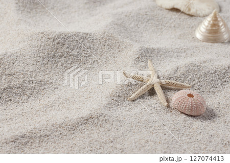 Seashells and Starfish on Soft Beach Sand Minimal Summer Nature Background. 127074413
