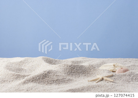 Seashells and Starfish on Soft Beach Sand Minimal Summer Nature Background. 127074415