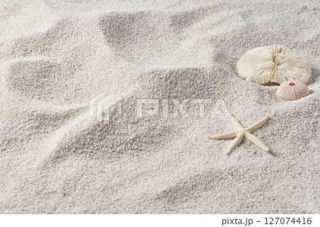 Seashells and Starfish on Soft Beach Sand Minimal Summer Nature Background. 127074416