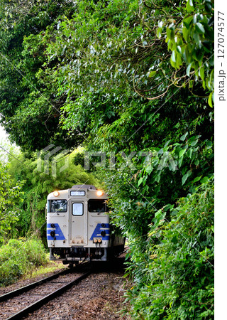 新緑の中を走る北条鉄道のキハ40五能線カラーの国鉄型気動車です 127074577