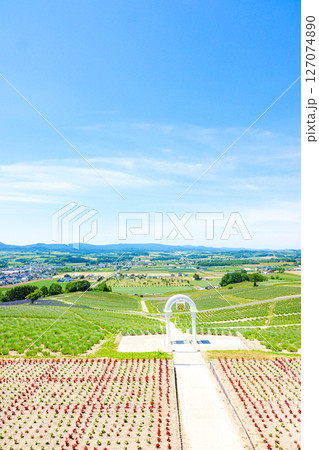 北海道上富良野町にあるラベンダーで有名な日の出公園からの風景 北海道上富良野町にあるラベンダーで有名な日の出公園からの風景 127074890