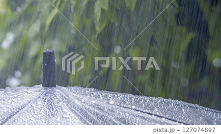 梅雨・激しく降る雨のイメージ 127074897
