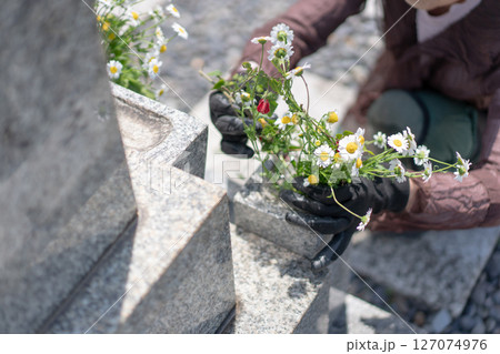 墓前に花を添える女性 127074976