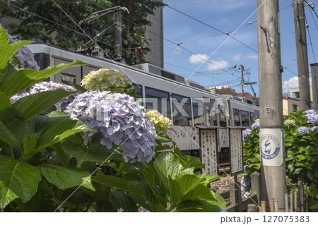 東急世田谷線 東急世田谷線 127075383