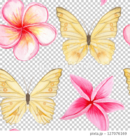 Yellow butterflies, pink tropical plumeria flowers seamless watercolor pattern. Hand painted for textile design, summer packaging, wedding decor, branding, stationery, digital products. Isolated on Yellow butterflies, pink tropical plumeria flowers seamless watercolor pattern. Hand painted for textile design, summer packaging, wedding decor, branding, stationery, digital products. Isolated on 127076169