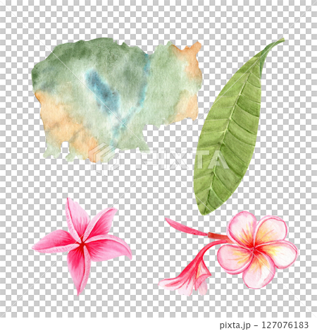 Cambodia map, tropical leaf, and two plumeria flowers watercolor set illustrations. Perfect for travel design, eco packaging, botanical branding, souvenirs, vacation posters, cultural tourism projects 127076183