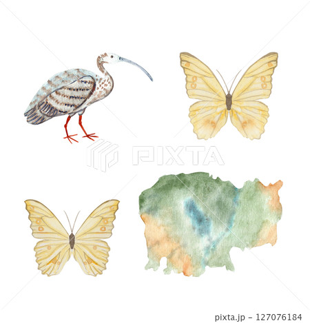 Ibis bird, two yellow butterflies, and Cambodia map, hand painted in watercolor. Perfect for travel blogs, eco tourism, educational materials, wildlife branding, packaging, and tropical design themes Ibis bird, two yellow butterflies, and Cambodia map, hand painted in watercolor. Perfect for travel blogs, eco tourism, educational materials, wildlife branding, packaging, and tropical design themes 127076184