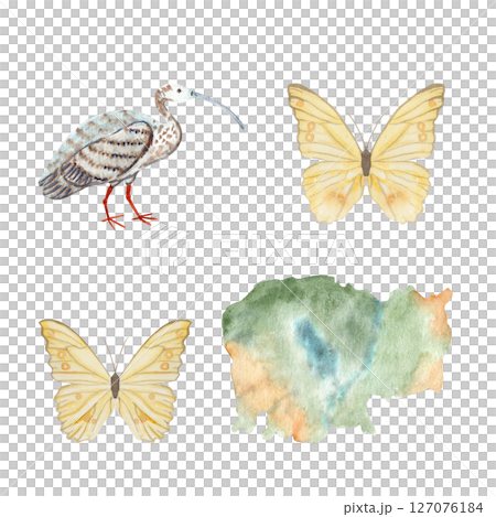 Ibis bird, two yellow butterflies, and Cambodia map, hand painted in watercolor. Perfect for travel blogs, eco tourism, educational materials, wildlife branding, packaging, and tropical design themes 127076184