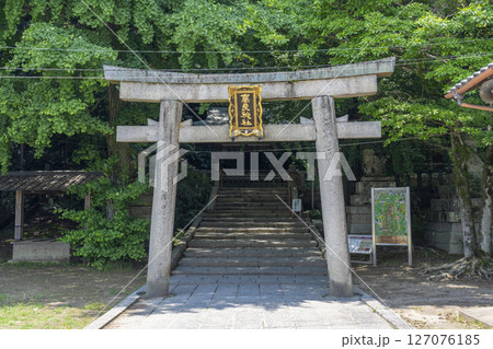 高良神社(石清水八幡宮山麓) 高良神社(石清水八幡宮山麓) 127076185