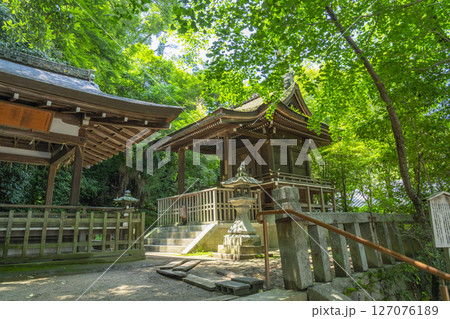 高良神社(石清水八幡宮山麓) 高良神社(石清水八幡宮山麓) 127076189